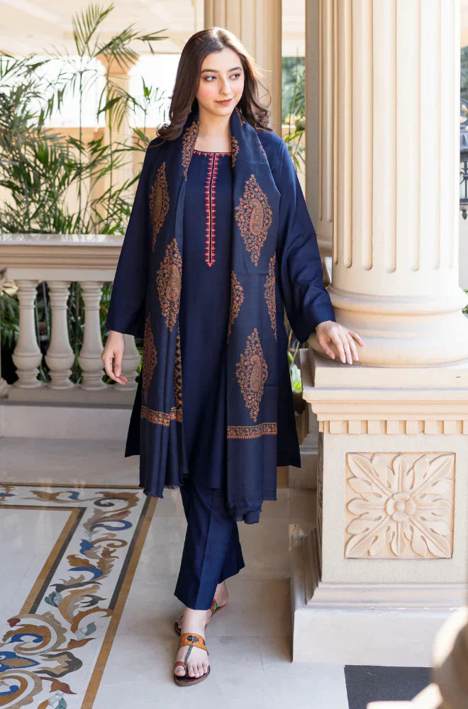 femalechoice Fcc-200 Blue Dhanak three piece