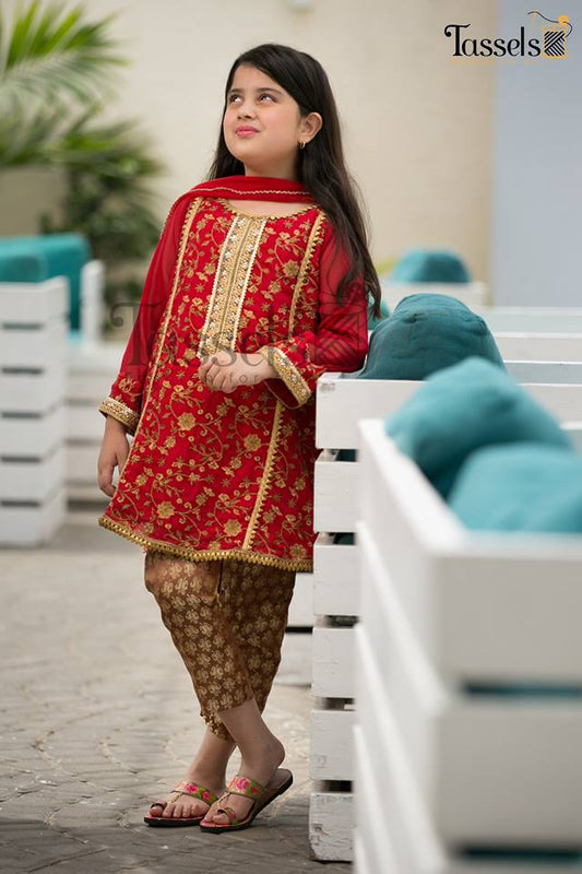 Maria B D-208 kids Wear Lawn Embroidered two piece